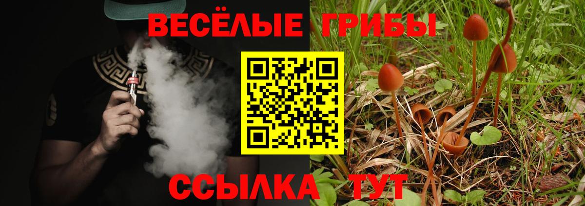 Галлюциногенные грибы GOLDEN TEACHER Кушва